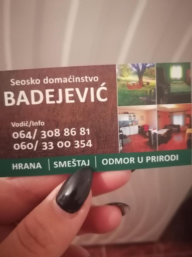 Etno Kuca Badejevic Villa Plavna ภายนอก รูปภาพ