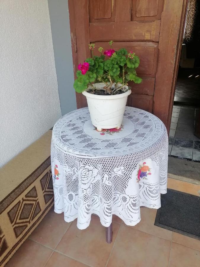 Etno Kuca Badejevic Villa Plavna ภายนอก รูปภาพ